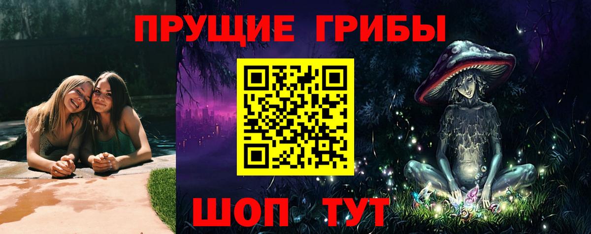 Псилоцибиновые грибы мухоморы Кашира